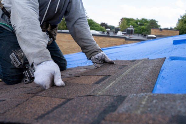 Best New Roof Installation  in Fredericksburg, VA