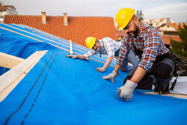 Best Roof Gutter Cleaning  in Fredericksburg, VA