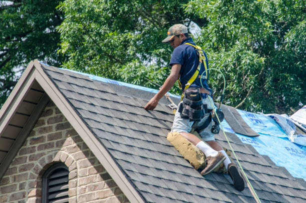 Best Roof Replacement Cost  in Fredericksburg, VA